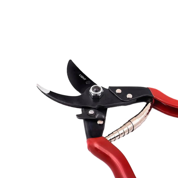 قیچی باغبانی برند لایت مدل JH- 615 مناسب هرس گل و گیاه.